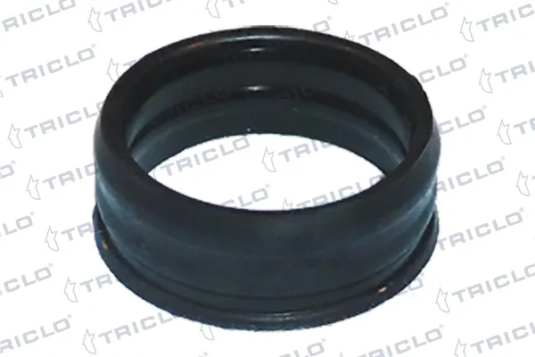 Vedante de cano derivado de bomba 55185066 Peugeot/Citroen