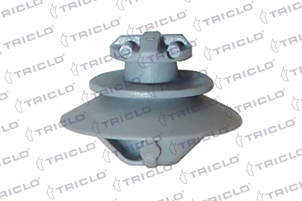 163870 Triclo