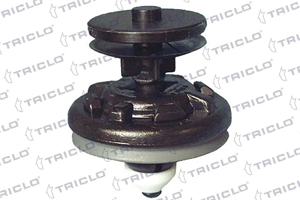 Cápsula (prendedor) de fixação de revestimento da porta 163541 Triclo