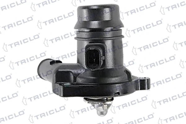 468545 Triclo