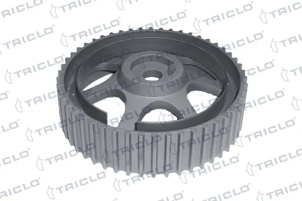 Engrenagem de cadeia da roda dentada da árvore distribuidora de motor 424568 Triclo