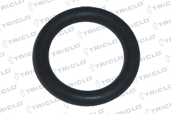 Vedante do flange (da união em T) do sistema de esfriamento para Renault Scenic (JM0)