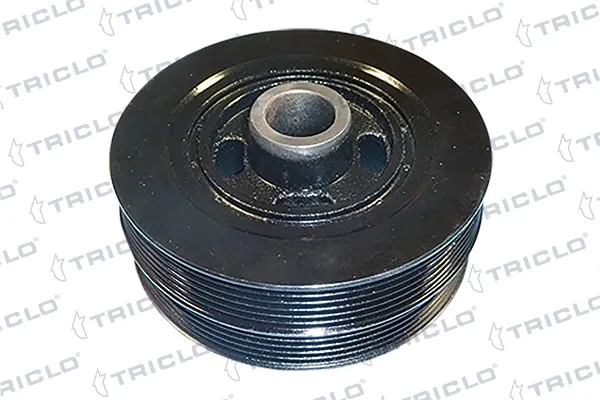 Polia de cambota 428877 Triclo