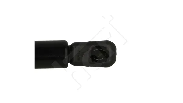 Amortecedor de tampa de porta-malas (de 3ª/5ª porta traseira) Ford Focus 2 DA, HCP, DP