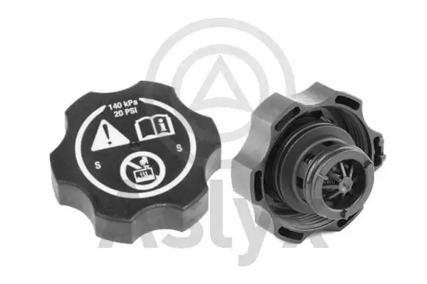 Tampa (tampão) do tanque de expansão Opel Zafira P12