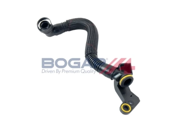 A1210178 Bogap