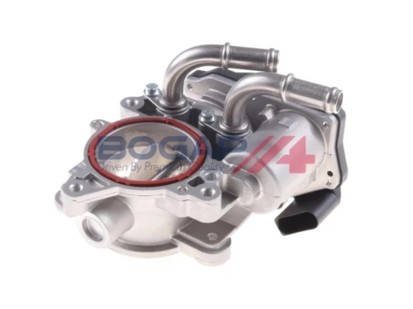 A6319192 Bogap