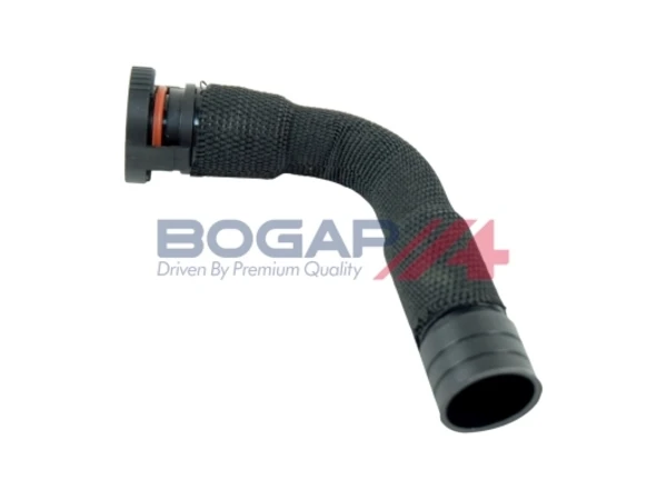 A1210173 Bogap