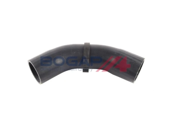 C4245111 Bogap