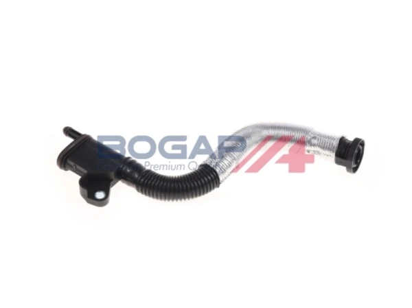 A1210223 Bogap