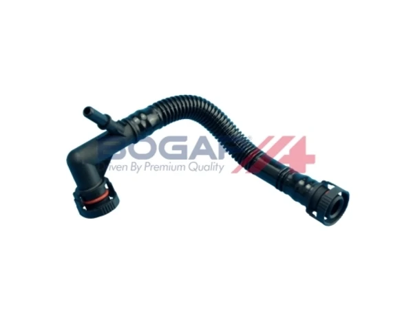 B1210112 Bogap