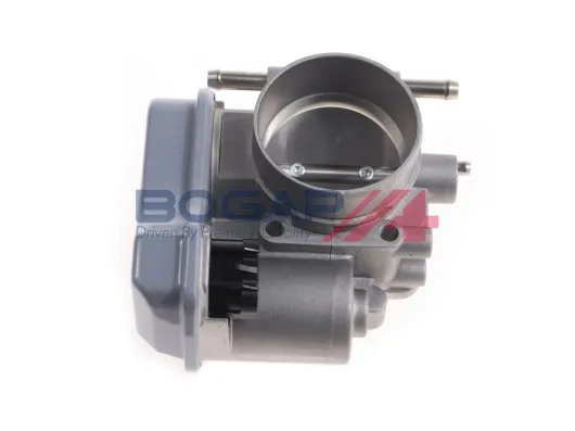 Válvula de borboleta montada L6319104 Bogap