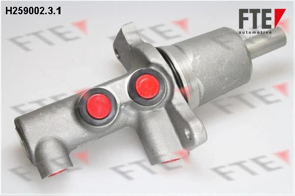 H25900231 FTE