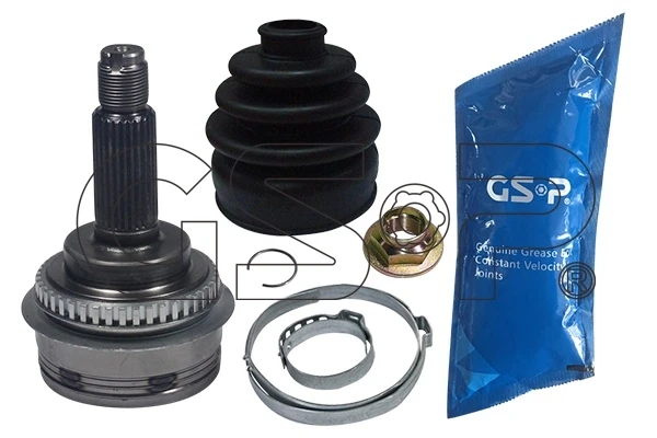 856009 GSP