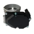 CSMCR00587 Market (OEM)