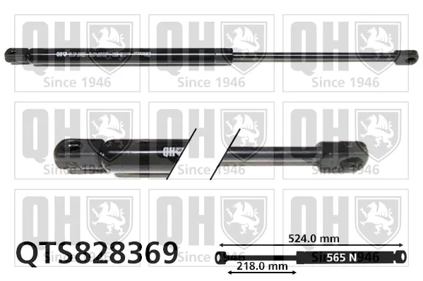 Amortecedor de tampa de porta-malas (de 3ª/5ª porta traseira) Honda Accord VIII