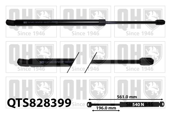 Amortecedor de tampa de porta-malas (de 3ª/5ª porta traseira) ADBP580037 Blue Print