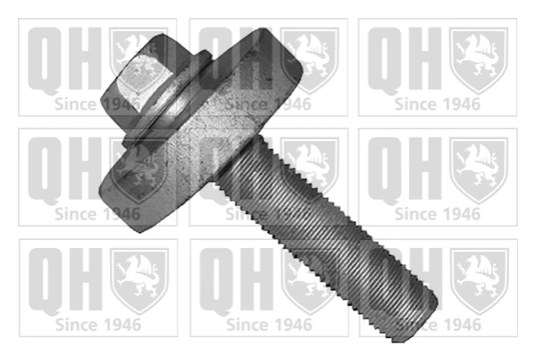 Parafuso da polia de cambota para Renault Kangoo (KC0)