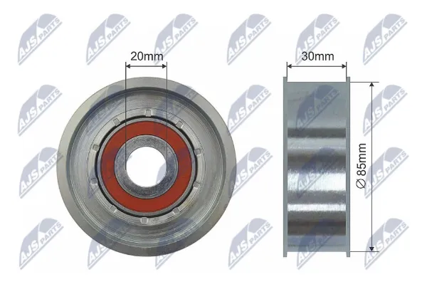 Rolo parasita da correia de transmissão RNKCH027 NTY