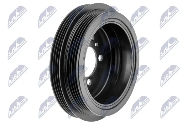 Polia de cambota RKPMZ009 NTY