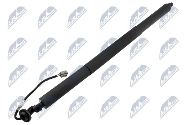 Amortecedor de tampa de porta-malas (de 3ª/5ª porta traseira) AEFR076 NTY