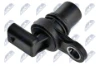 ECPCH024 NTY