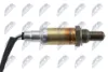 ESLMS005 NTY