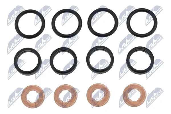 Kit de reparação do injetor BWPPL003 NTY