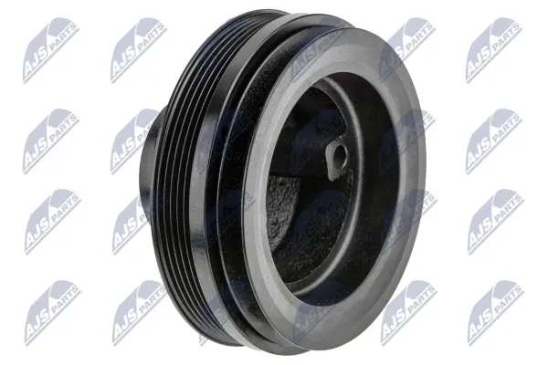 Polia de cambota RKPMS013 NTY