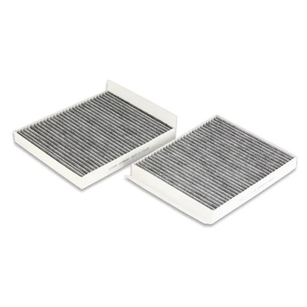 Filtro de salão SKIF0170205 Market (OEM)