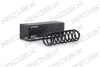 Mola traseira Seat Ibiza 2 6K1