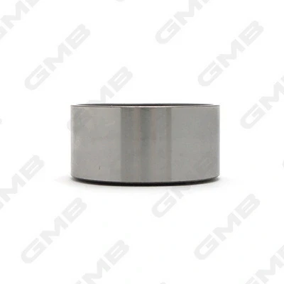 GT10160 GMB