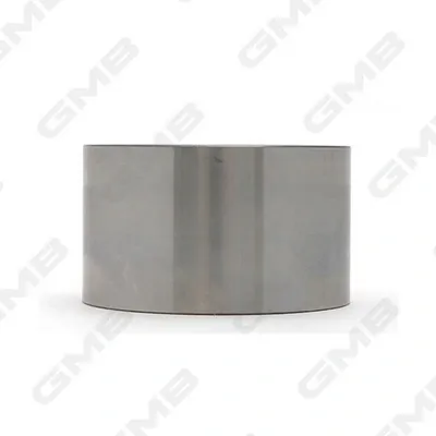 Rolo de reguladora de tensão da correia do mecanismo de distribuição de gás KIA Sorento 1 JC