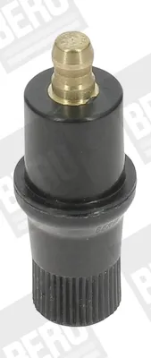  C6A Beru