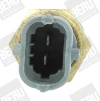 ST265 Beru