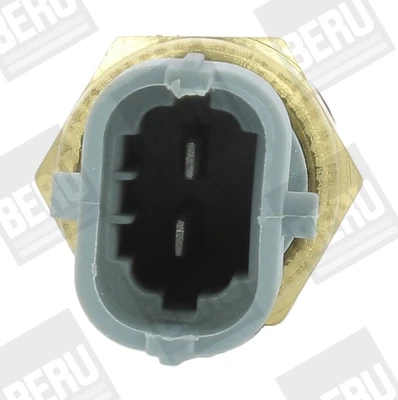 ST265 Beru