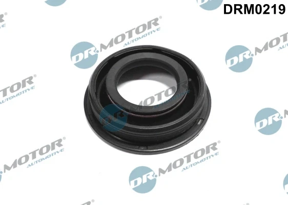 DRM0219 Dr.motor