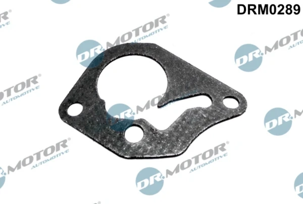 DRM0289 Dr.motor