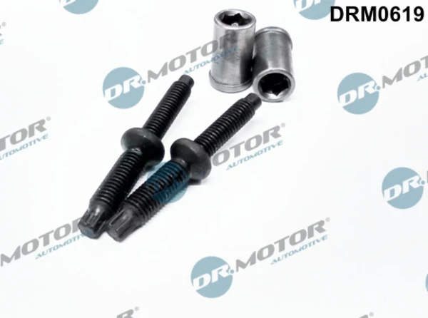 DRM0619 Dr.motor parafuso de fixação do injetor