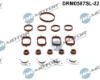 DRM0587SL22 Dr.motor