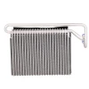 TOPT1254001 Bapmic