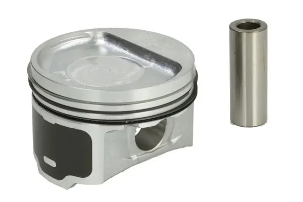 55204027 Fiat/Alfa/Lancia pistão do kit para 1 cilindro, std