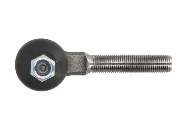 RH012062 Reinhoch