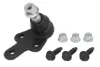RH034020 Reinhoch