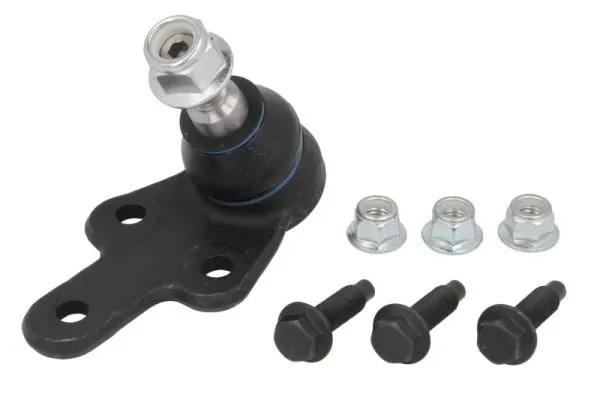 RH034020 Reinhoch