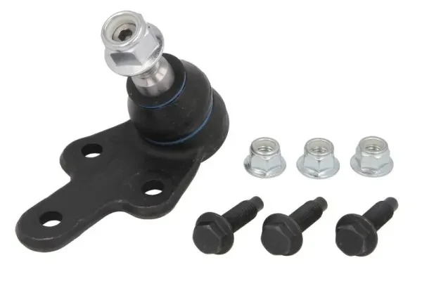 RH034020 Reinhoch