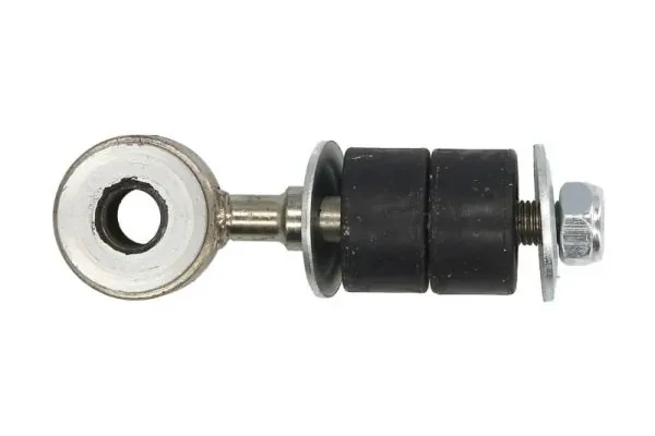 RH061010 Reinhoch