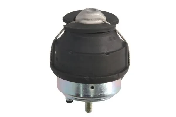 RH114006 Reinhoch