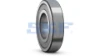 62022Z SKF