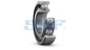 6202 SKF